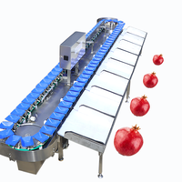 Automatische milieuvriendelijke sorteermachine voor groenten en fruit met sensortechnologie