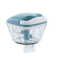 Handige Mini Plastic Voedselhakselaar Met Roestvrij Staal Voor Saladeuien En Chilipepers Keukengadget
