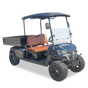 Tepsi ve kargo kutusu ile 4 tekerlekten çekiş yardımcı kulübü Golf arabası - Product Image 1
