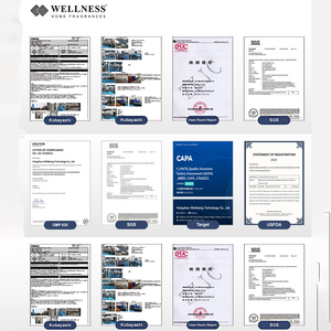 Difusor de Aromaterapia de Lujo OEM/ODM con Aceites Esenciales sin Fuego, Difusor de <span class=keywords><strong>Perfume</strong></span> Personalizado al por Mayor para Decoración del Hogar, Juegos de Regalo - Product Image 6