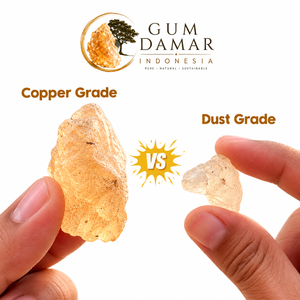 Gomme Damar Grade CDX Résine Naturelle Indonésie Couleur Cuivre Chaud Texture Dense Solide Pour Laque et Adhésifs - Product Image 4