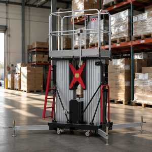 Elevador de Doble Mástil de Operación Individual, 10.6m, 250kg, Móvil para Almacenamiento en Almacenes, OEM Disponible - Product Image 5