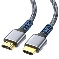 Câble Ultra Haute Vitesse 8K 2.1 de 66 pieds, 4K 120Hz 48 Gbps HDR avec prise en charge EARC pour HDTV, PS4, PS5, Moniteur, Ordinateur Portable, Xbox (Argent)