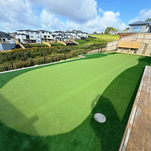 LFL Professional <b>Artificial</b> Golf Putting Green Synthetic Turf for Sports Field & Garden Use - Product Image 1