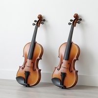 Wholesale Professional Musical Instruments High Quality Glossy Basswood Violin Set With Case and Bow