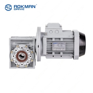 Caja de engranajes helicoidales Aokman sin mantenimiento para RV, relación 30:1, alto par, montaje por pie o brida, larga vida útil para maquinaria de embalaje - Product Image 3