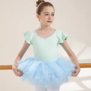 2024 Popular Hot Selling Round Neck Light Green Dance Training Ballet Tutu Dress For Kids Girls With Ruffle Sleeves