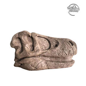 Répliques de squelette grandeur nature modèle squelette de dinosaure os de dinosaure pour musée - Product Image 3