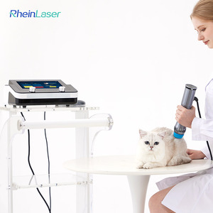 Bán chạy nhất Sw-200 eswt Shockwave Máy trị liệu với đầu điều trị cho ngựa Dog đau khớp cứu trợ - Product Image 3