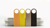 Logo gratuit Logo personnalisé Clé USB en métal Style porte-clés Clé USB Clé USB Clé USB