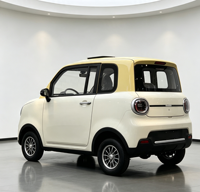 Mini voiture électrique tout-terrain, véhicule utilitaire électrique à 4 roues, SUV électrique compact, petit véhicule électrique tout-terrain