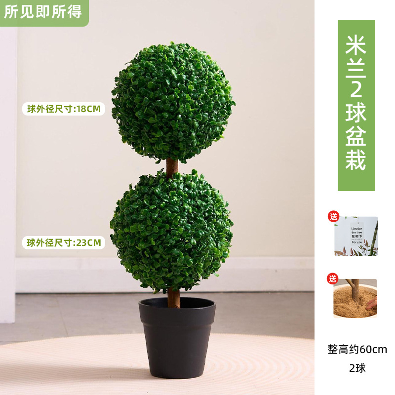 Plante en pot Milan 2 boules 60 cm