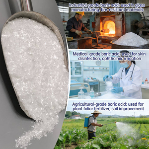 Borax de Grado Industrial, Polvo Bórico, Ácido Orto Bórico H3BO3, Precio de Proveedor de Fábrica - Product Image 5