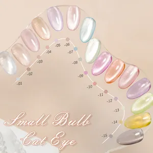 ZRKGEL professional nail supplier 15 colors 15ML UV/LED magnetic highpigment free sample LOW MOQ cat eye gel polish set