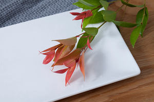 P9 11 ''Inch Rectangle Solide Blanc En Céramique Longues Assiettes À Sushi Restaurant Dîner Hôtel Buffet <span class=keywords><strong>Barbecue</strong></span> Rôti Viande Steak Assiette - Product Image 6
