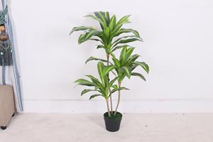 Arboles artificiales Dracaena Fragrans Plástico para interiores - Product Image 2