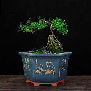 Design de taille de couleur personnalisée hexagone <span class=keywords><strong>Grand</strong></span> Large Yixing argile violette non émaillée plante en céramique arbre bonsaï Pots de fleurs - Product Image 4