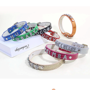 Colliers personnalisés pour chien avec lettres en strass Nom d'identification personnalisé Collier pour chien et chat Lettres en cristal pour bracelets à glissière DIY - Product Image 2