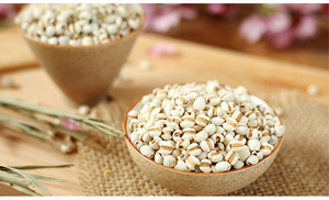 Sản Xuất Chuyên Nghiệp Chất Lượng Cao Hulled Coix Hạt Giống Ngọc Trai Lúa Mạch Adlay Hạt Giống Để Bán - Product Image 6