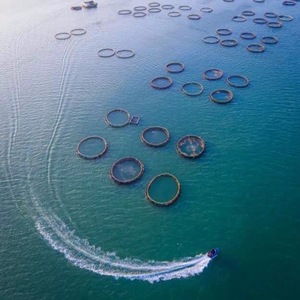 Circular <b>Floating</b> <b>Fish</b> Cage With Anti-predator Net HDPE Marine Cage For Commercial Aquaculture - Product Image 5