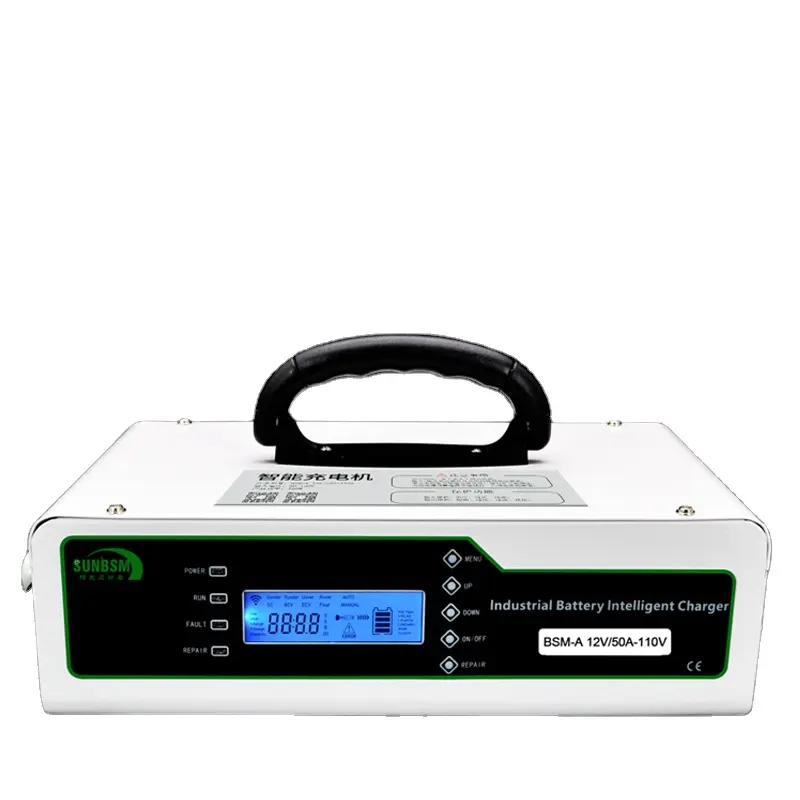 입력 220V 카메라와 전기 자전거 자동차 스쿠터에 대 한 휴대용 1000W 스마트 배터리 충전기 48V 20A 지능형 충전기