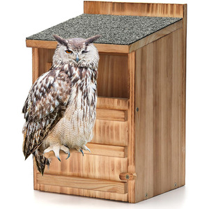 Nido de madera para búhos, colgante para exteriores, comedero, casa de pájaros de madera, caja de cría, nido para colibríes, nido para pájaros - Product Image 1
