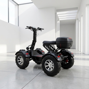 Véhicule tout-terrain électrique 21 pouces à gros pneus 10000W 60V RY-S4 4WD Quad électrique puissant pour adultes VTT tout-terrain - Product Image 1