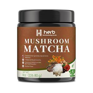 OEM/ODM, Marca Privada, Extracto de Café de Matcha y Hongos Orgánicos Saludables en Polvo para Adultos - Mejora la Inmunidad, la Memoria y el Sueño - Product Image 1
