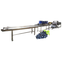 Ligne de nettoyage et de séchage automatisée du raisin Système de lavage et de séchage du raisin pour la production de vin