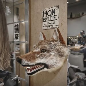 Montaje <span class=keywords><strong>de</strong></span> cabeza <span class=keywords><strong>de</strong></span> felpa <span class=keywords><strong>de</strong></span> lobo salvaje-Hunting Lodge & Horror Film Prop, decoración <span class=keywords><strong>de</strong></span> <span class=keywords><strong>cueva</strong></span> <span class=keywords><strong>de</strong></span> hombre (textura <span class=keywords><strong>de</strong></span> piel realista sin relleno) - Product Image 4