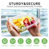 Tamper evident transparante PET 16oz recyclebare voedselcontainer met scharnierend deksel voor vers gesneden fruit, salade, noten, sap, sushi, wegwerpbaar, voedselveilig.