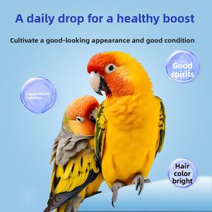 Vitamin Pembiakan Burung untuk <span class=keywords><strong>Cockatiel</strong></span>, Kenari, Budgerigar, dan <span class=keywords><strong>Cockatiel</strong></span>, Suplemen Nutrisi Vitamin untuk Burung - Product Image 4