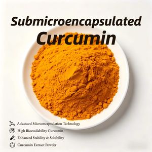 Nouvelle Poudre <span class=keywords><strong>de</strong></span> Curcumine Submicronisée Directement <span class=keywords><strong>de</strong></span> l'Usine, Curcumine Submicronisée Hydrosoluble, Matière Première Anti-inflammatoire et Antioxydante - Product Image 1
