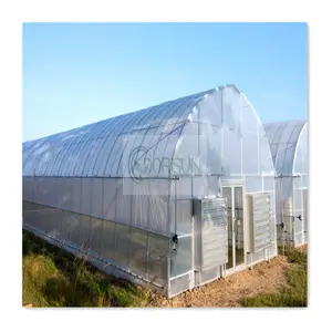 Mini Tunnel di giardinaggio della pianta di stile cinese serra calda della pianta del pomodoro della serra per l'agricoltura della lumaca