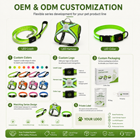 Ensemble de collier et laisse lumineux Qcool pour chien, style camouflage, équipement de sécurité pour animaux de compagnie, pour la promenade en extérieur, fournisseur OEM
