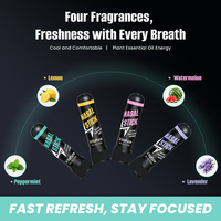 VitaPure 4 Pack Stik Inhaler Nasal Aroma Minyak Esensial Alami Mint yang Menyegarkan untuk Mengemudi, Belajar, dan Bekerja