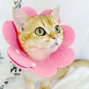 समायोज्य नियोप्ररीन एलिज़ाबेथ एंटी-लाइसेकिंग सुरक्षात्मक कॉलर व्यावहारिक रिकवरी शंकु ई-कॉलर ठोस पालतू घाव उपचार गर्दन कवर - Product Image 5