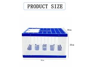 Caixa transparente para pássaros, pombos, pombos, caixa transparente para venda direta da fábrica