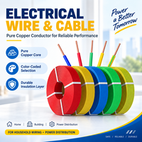 Câble d'alimentation 450 750V THW résistant à la corrosion, en cuivre pur, isolé en PVC, pour circuits intérieurs, ignifuge, fil électrique