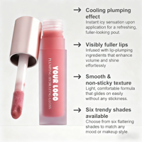 Gloss à lèvres repulpant longue durée personnalisé, gloss à lèvres repulpant rafraîchissant en gros, lèvres visiblement plus pulpeuses, gloss à lèvres repulpant végétalien pour marque privée