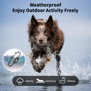 Nuevo lanzamiento recargable vibración sin ladridos <span class=keywords><strong>Collar</strong></span> impermeable pequeño perro ladrido <span class=keywords><strong>Collar</strong></span> para perros pequeños - Product Image 6