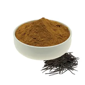 High Quality Holly Leaf/Kuding Tea/Llex Kudingcha Extract
