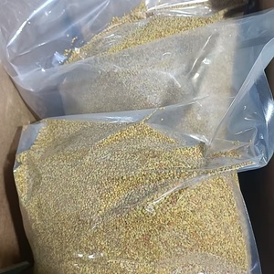 Granulés de <span class=keywords><strong>pollen</strong></span> de maïs 100% pur et naturel |   Produit alimentaire riche en protéines et en vitamines |   Approvisionnement en gros - Product Image 2