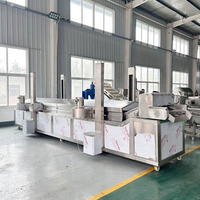 Nouvelle machine à frire industrielle entièrement automatique pour beignets en peau de porc chips de banane oignon haricot vert aubergine