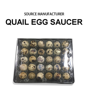 Hộp Đựng Trứng 30 Lỗ Trong Suốt Cho Thú Cưng, Vỉ Nhựa Thân Thiện Với Môi Trường Khay Đóng Gói Trứng Cho Trứng Gà - Product Image 6