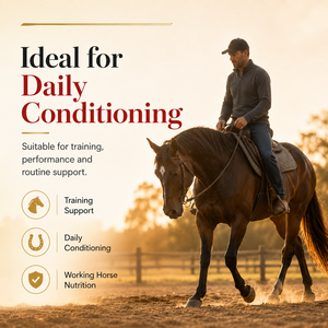 Suplemento Líquido para Células Rojas Equinas OEM, 1 Galón - Refuerzo de Hierro, Vitaminas y Minerales para la Resistencia y Defensa Inmunológica del Caballo - Product Image 4