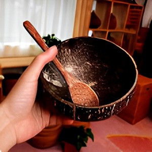 Eco2go Vietnam Custom Engraved Coconut Bowl <b>with</b> Wooden <b>Lid</b> - OEM Branded Sustainable Packaging for Tea, Spices & Corporate Gift - Product Image 1