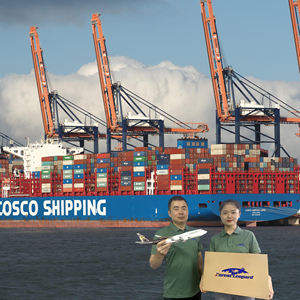 <span class=keywords><strong>Tarifas</strong></span> de Flete Marítimo Más Baratas Agente de Drop Shipping de China a Alemania Francia Italia México Reino Unido EE. UU. FBA <span class=keywords><strong>Amazon</strong></span> DDP Agente de Carga - Product Image 1