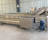 Spray-type bubbelreinigingsmachine voor het verwijderen van onzuiverheden in kreeften, zeevruchten, fruit, groenten, assemblagelijnen en het reinigen van garnalen.
