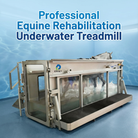 Tapis roulant aquatique pour chevaux EUR VET en acier inoxydable, réutilisable, moderne, pour l'exercice aquatique en extérieur
